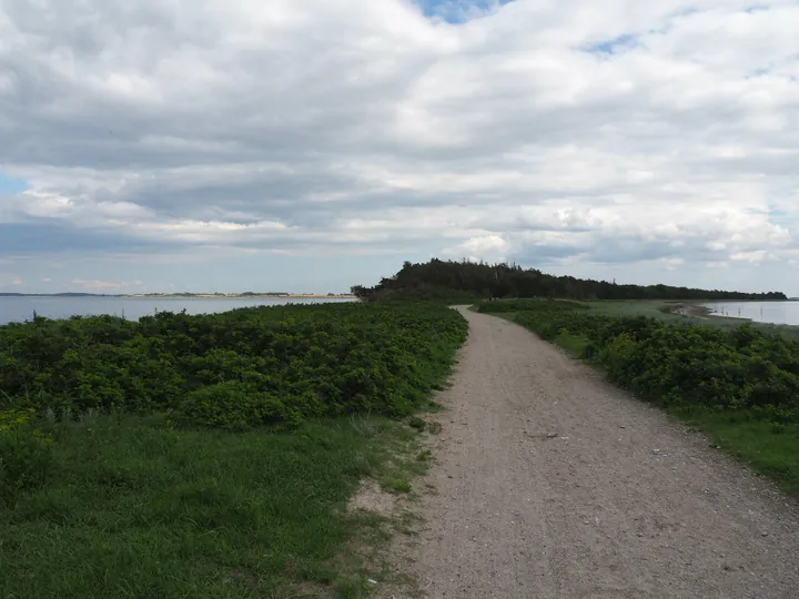 Halshuisene + Enebaerodde Beach (Denemarken)